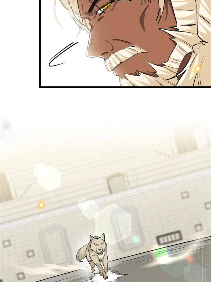 81492471 800 1067 59038